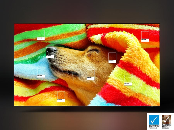 Televisor de 83" | 4K | Smart TV | OLED