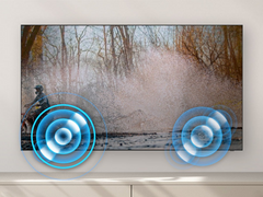 Televisor de 83