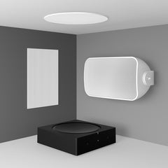 In-Ceiling Speaker (Pair)